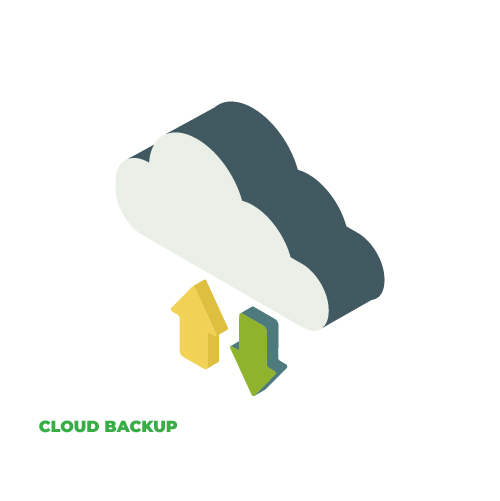 Daily Backup